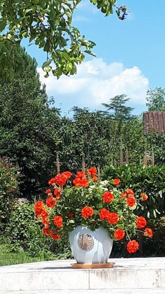 アルティヤック Le Mazet D'Olt Bed & Breakfast エクステリア 写真