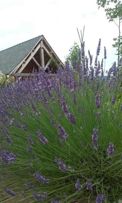 アルティヤック Le Mazet D'Olt Bed & Breakfast エクステリア 写真